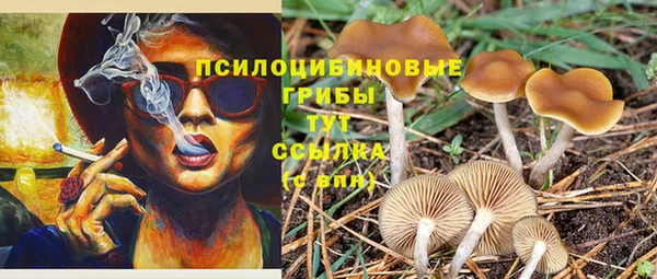 сатива Богородицк