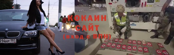 сатива Богородицк