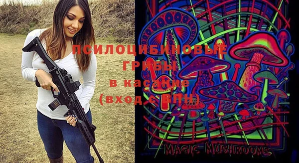 дурь Богданович
