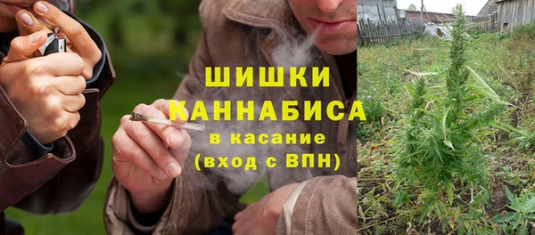 сатива Богородицк