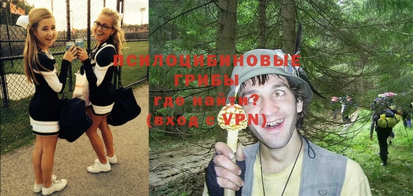 сатива Богородицк