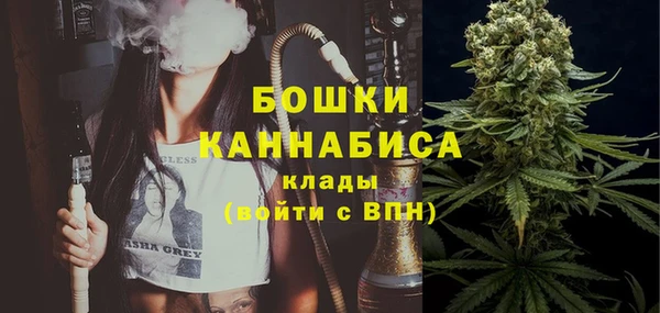 дурь Богданович