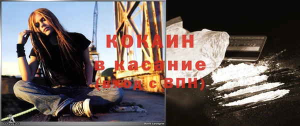 сатива Богородицк